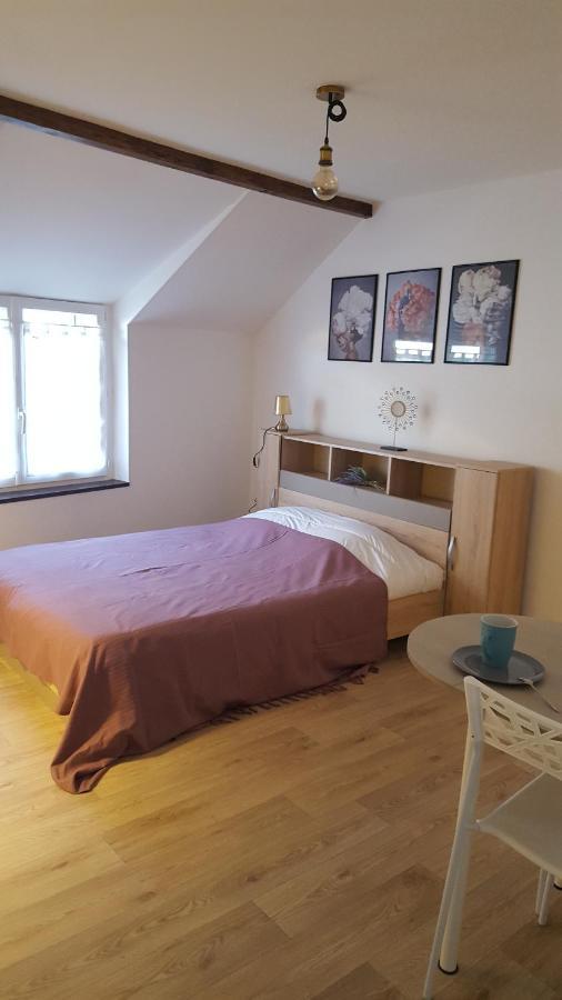 Studios Tout Equipes Cosne-Cours-Sur-Loire Ngoại thất bức ảnh